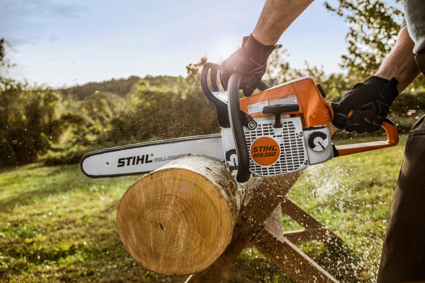 MS 250 Gasoline Chainsaw - Image 4