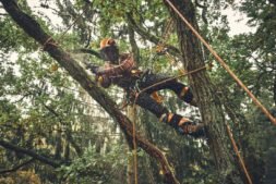 Alternative view of MSA 190 T Battery Powered Chainsaw