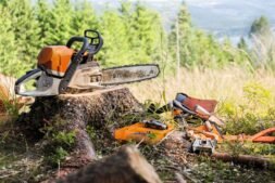 Alternative view of MS 362 Gasoline Chainsaw
