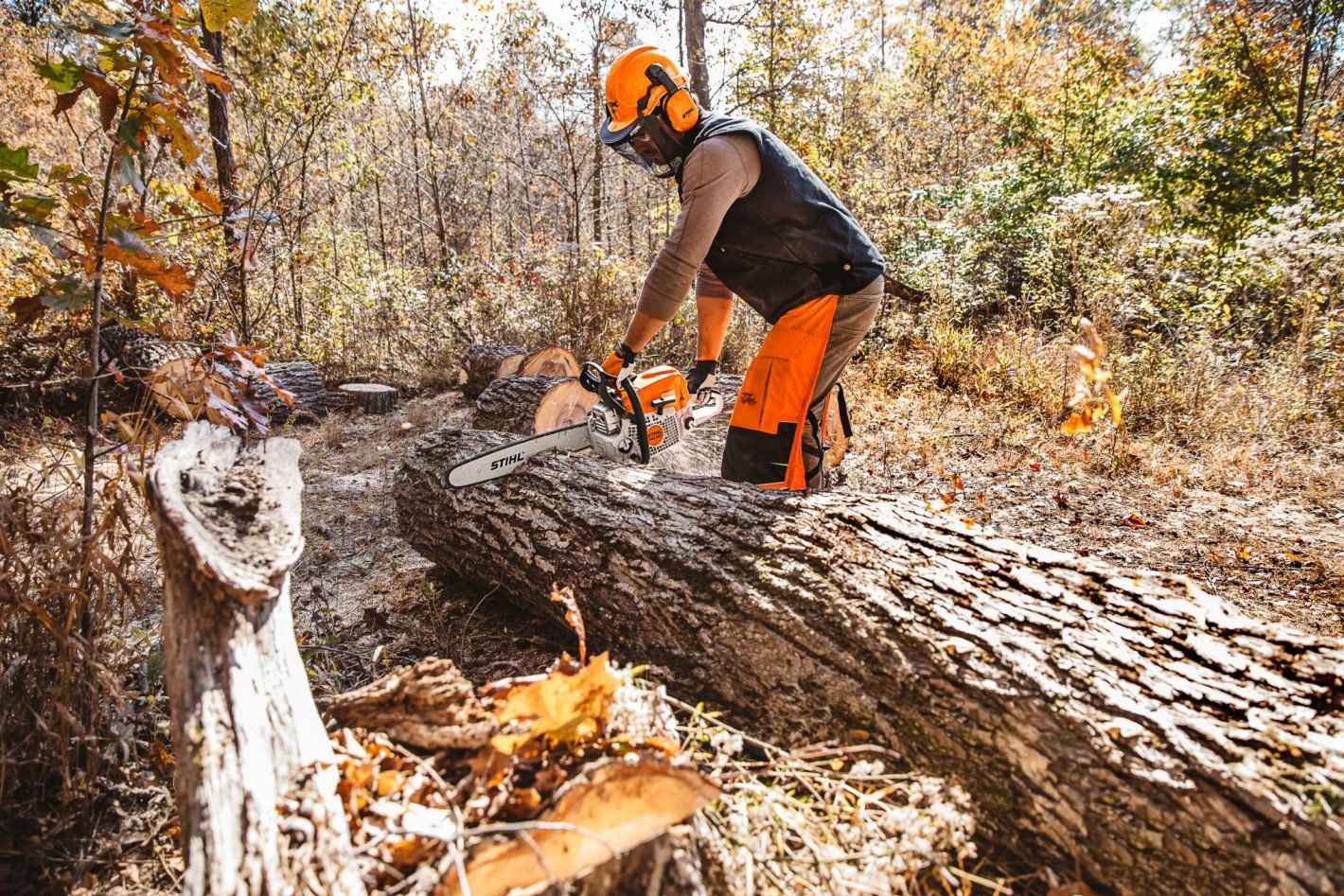 MS 391 Gasoline Chainsaw - Image 3